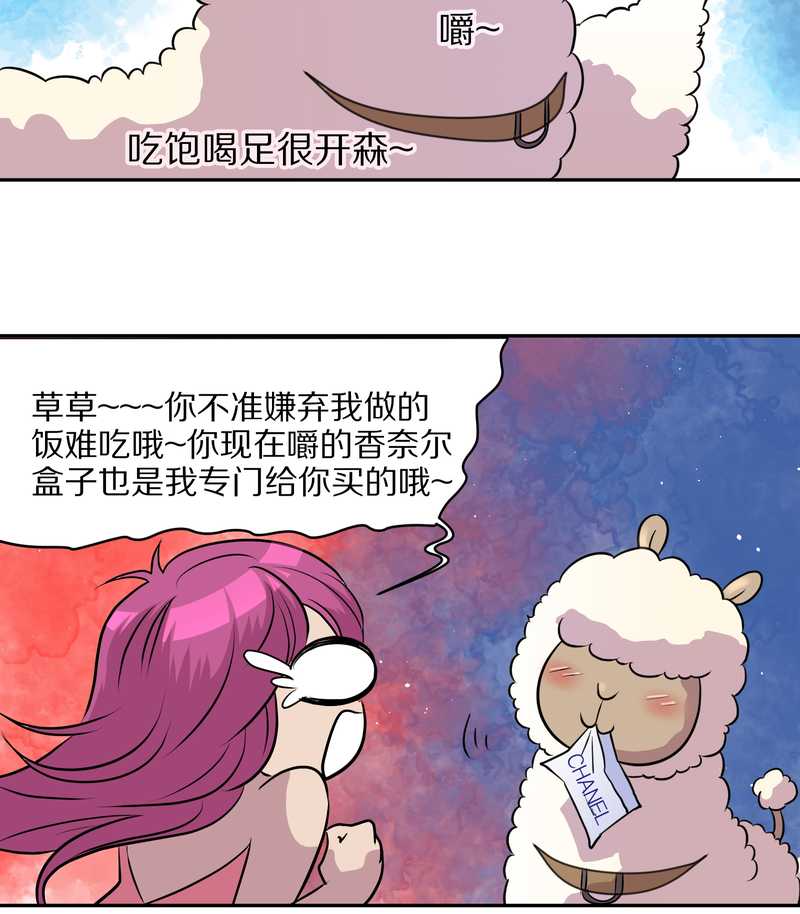 毛球星传说 第46集(1/2)-第46话