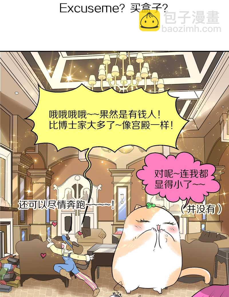 毛球星传说 第46集(1/2)-第46话
