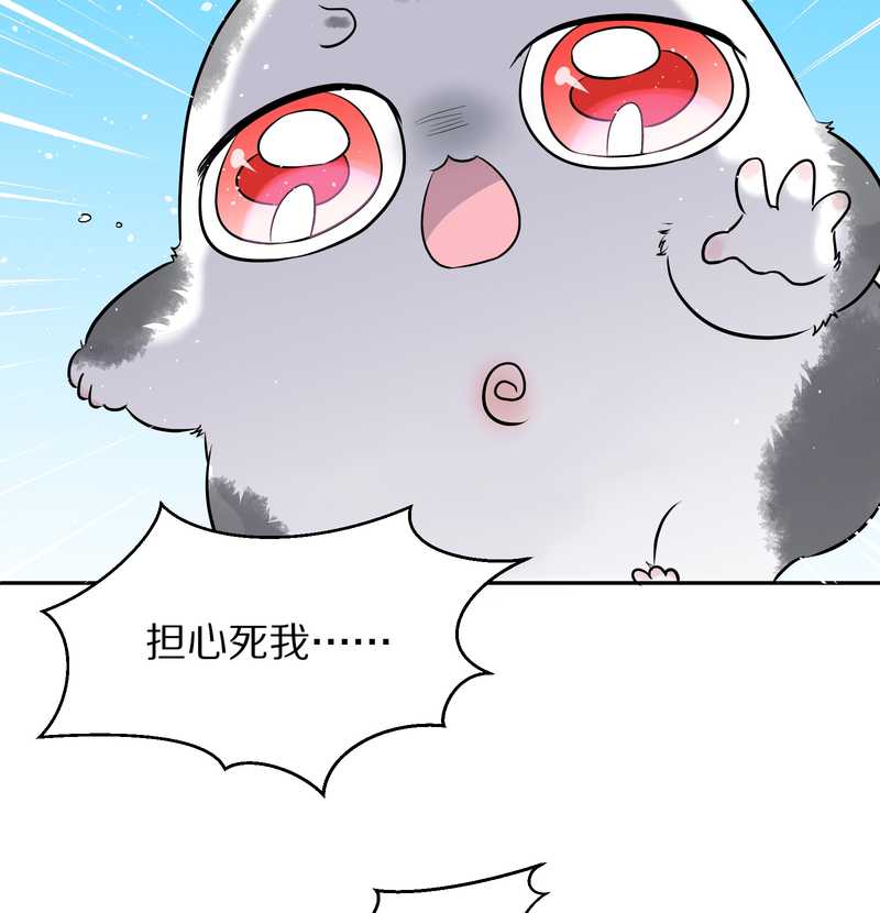 毛球星传说 第48集(1/2)-第48话