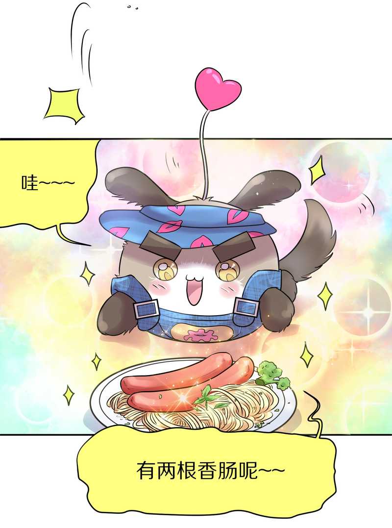 毛球星传说 第50集(1/2)-第50话