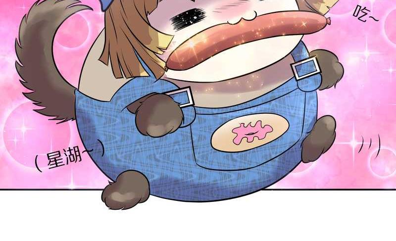 毛球星传说 第50集(1/2)-第50话