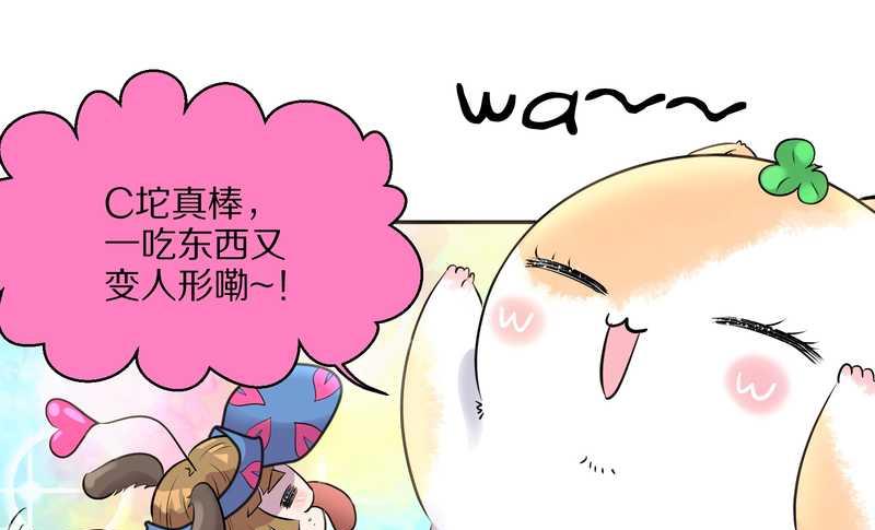 毛球星传说 第50集(1/2)-第50话