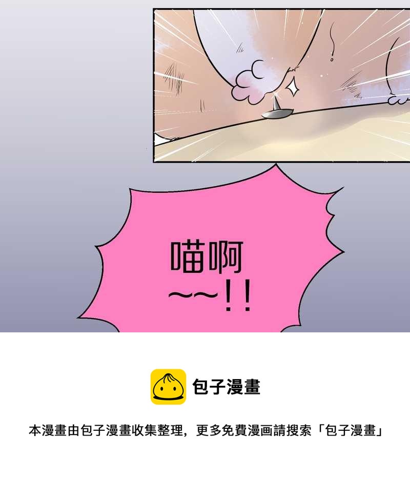 毛球星传说 第50集(1/2)-第50话