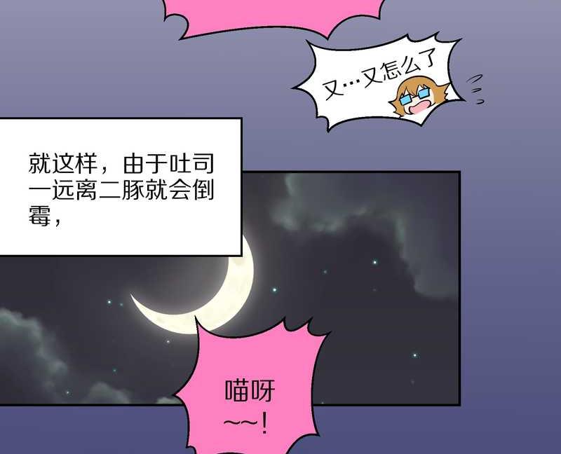 毛球星传说 第50集(1/2)-第50话