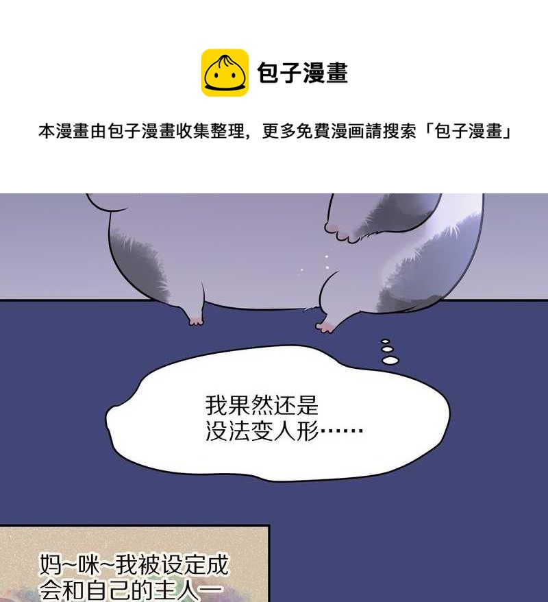 毛球星传说 第50集(1/2)-第50话