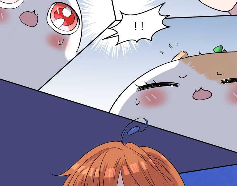 毛球星传说 第54集(1/3)-第54话