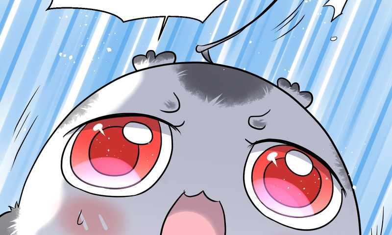 毛球星传说 第54集(1/3)-第54话