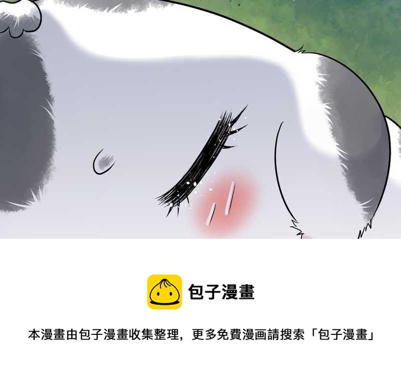 毛球星传说 第54集(1/3)-第54话