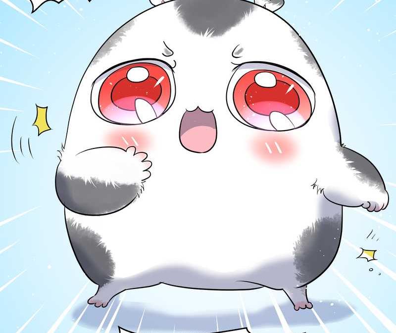 毛球星传说 第54集(1/3)-第54话