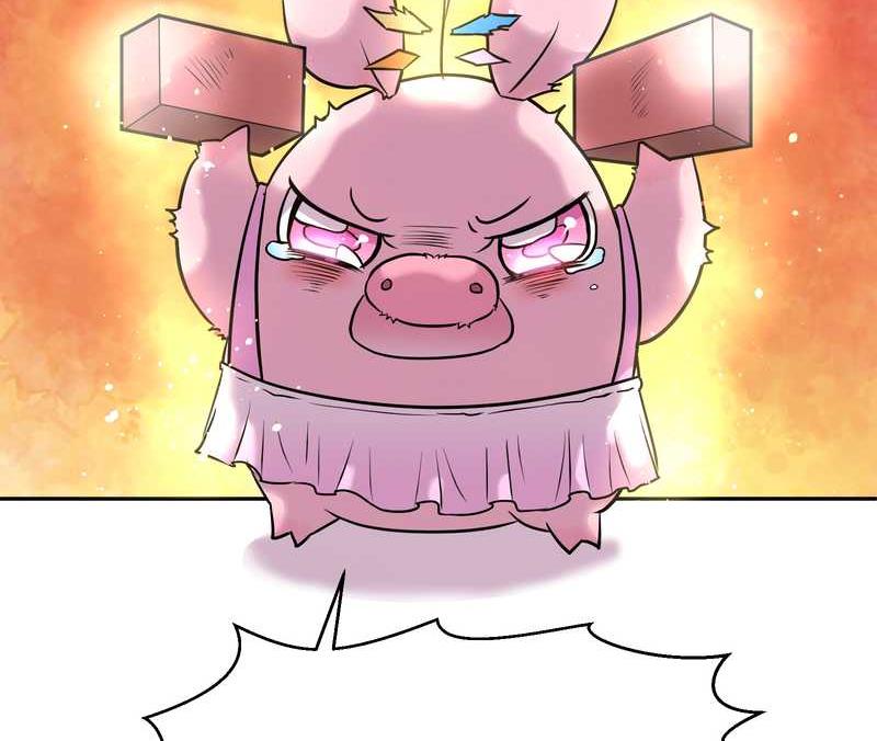 毛球星传说 第56集(1/2)-第56话