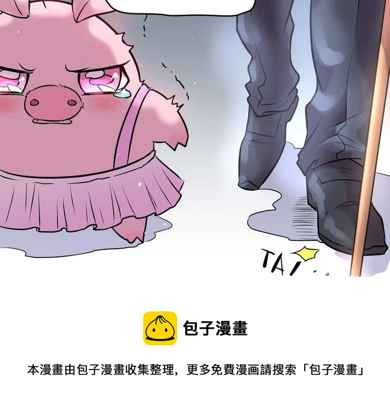 毛球星传说 第56集(1/2)-第56话