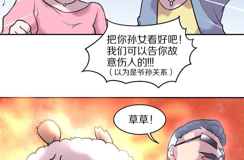 毛球星传说 第56集(1/2)-第56话