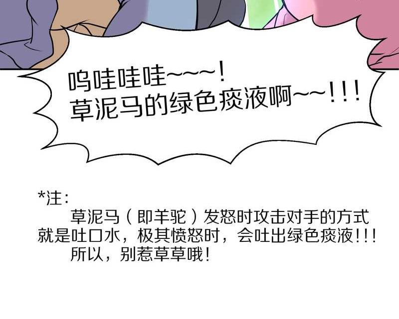 毛球星传说 第56集(1/2)-第56话