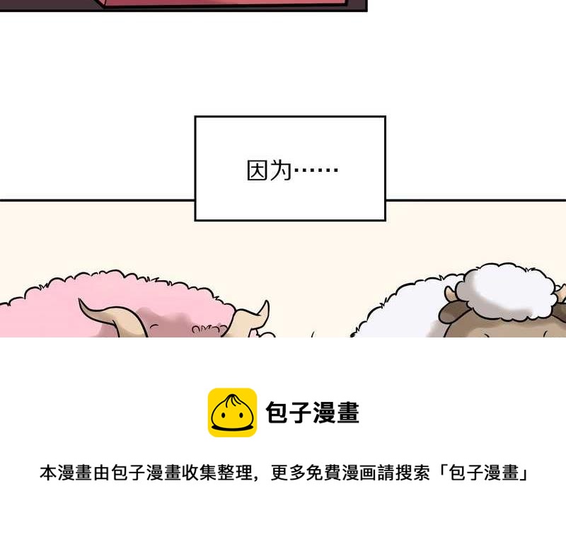 毛球星传说 第58集-第58话