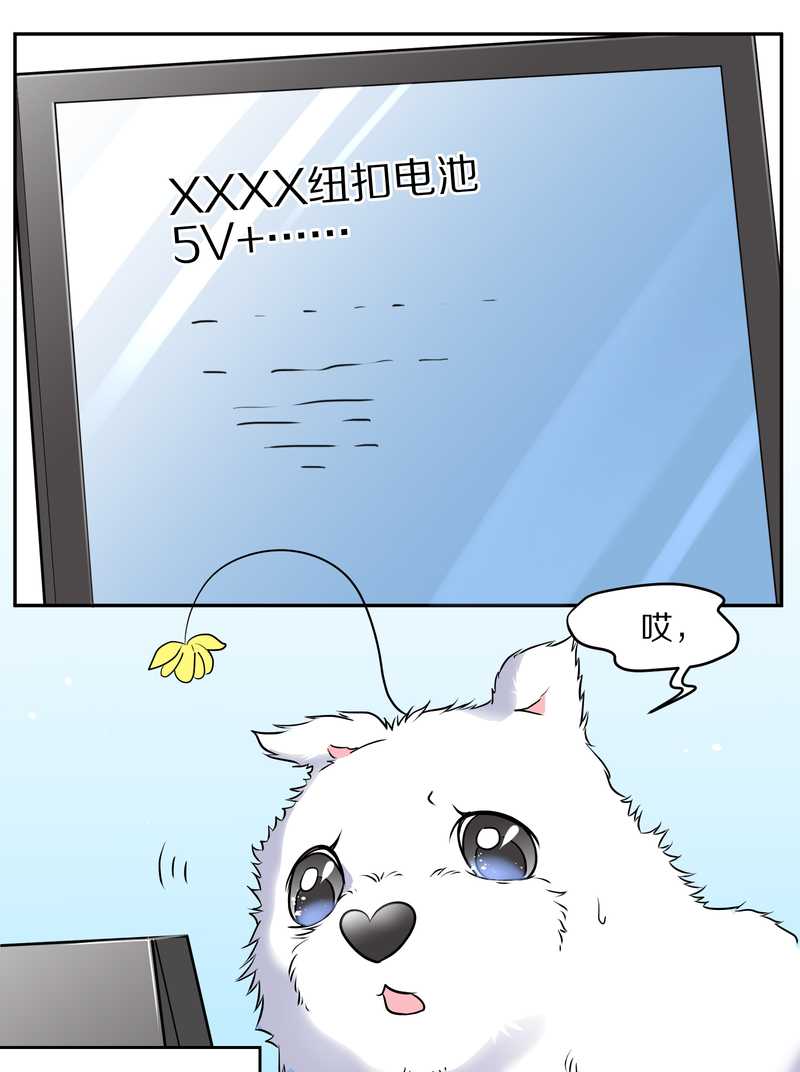 毛球星传说 第60集(1/2)-第60话