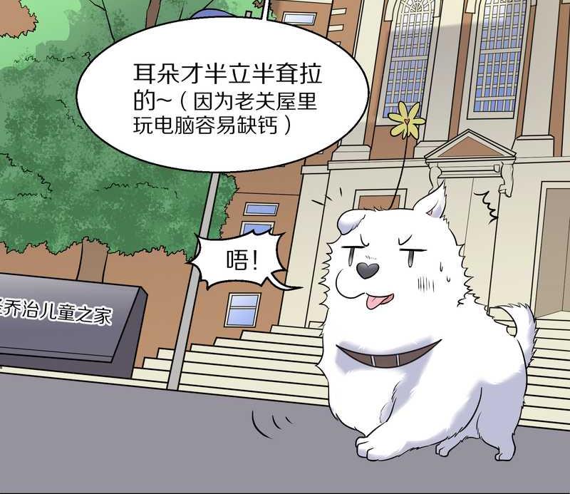 毛球星传说 第60集(1/2)-第60话