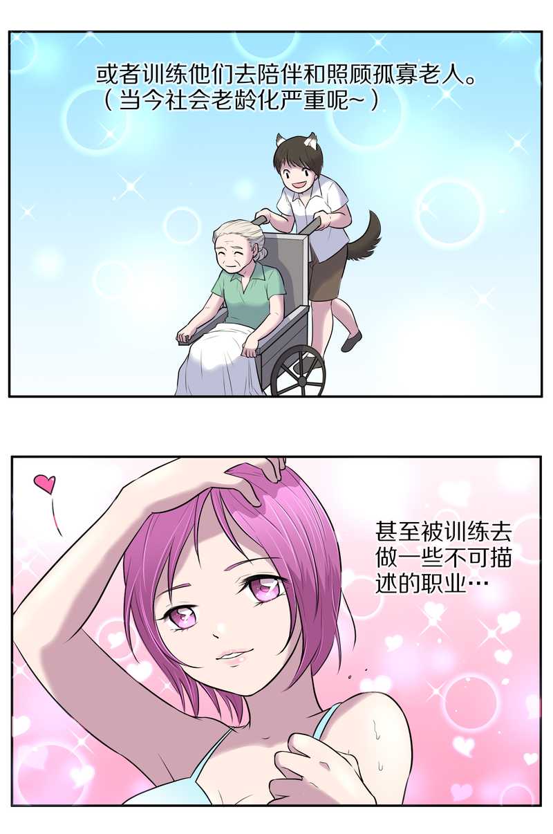 毛球星传说 第60集(1/2)-第60话