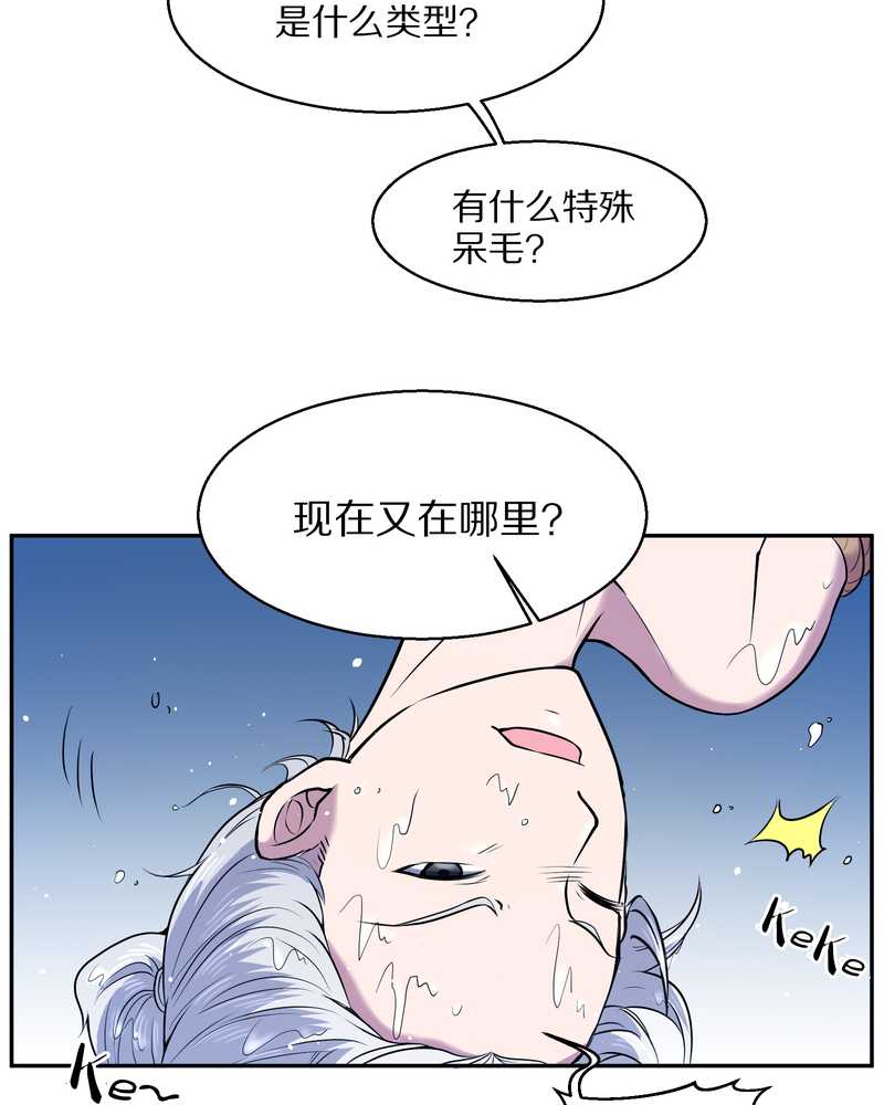 毛球星传说 第62集(1/2)-第62话