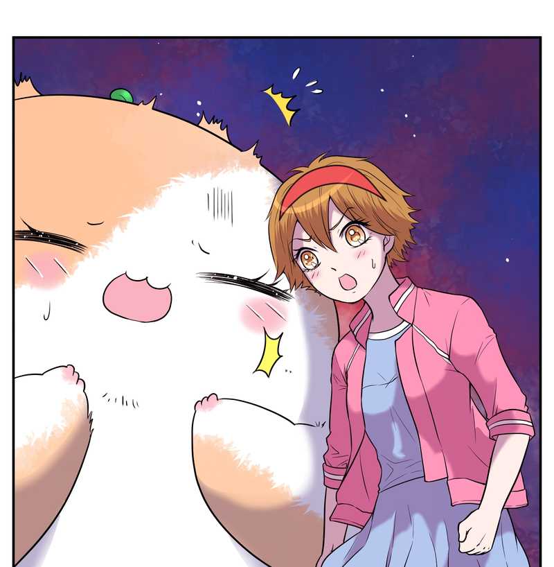 毛球星传说 第64集-第64话