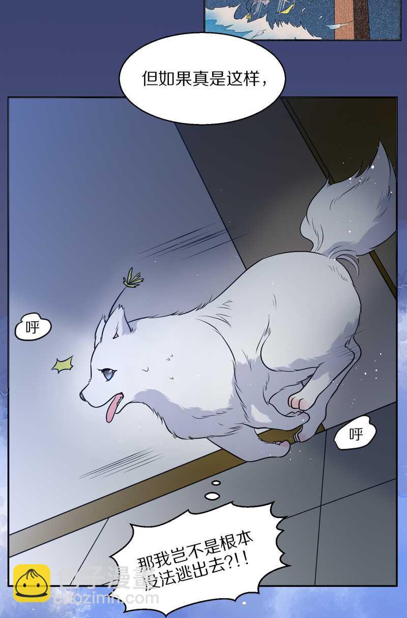 毛球星传说 第66集(1/2)-第66话