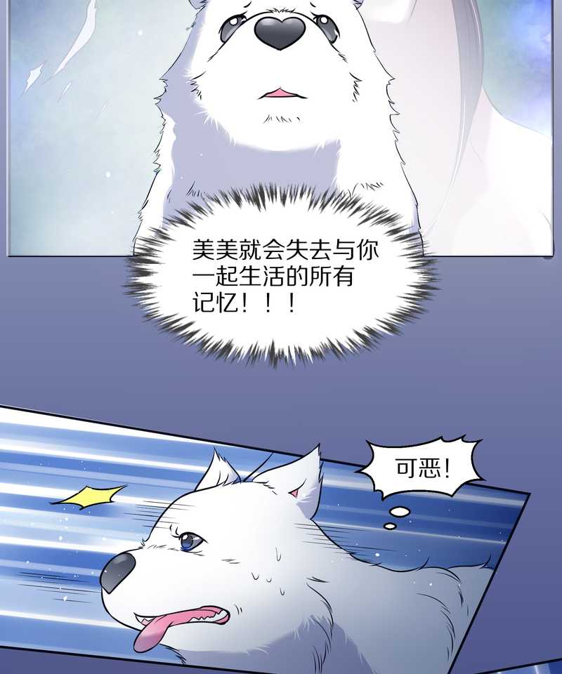 毛球星传说 第66集(1/2)-第66话