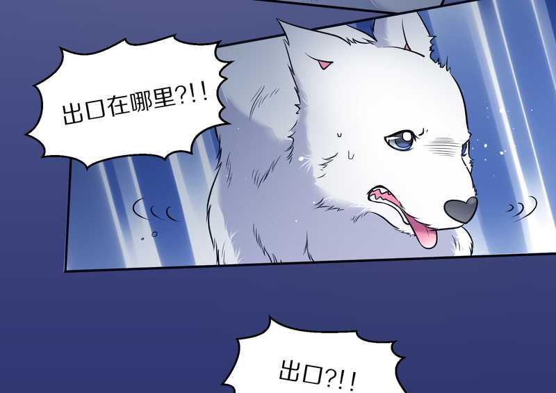 毛球星传说 第66集(1/2)-第66话