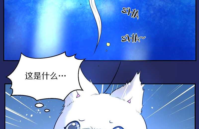 毛球星传说 第66集(1/2)-第66话