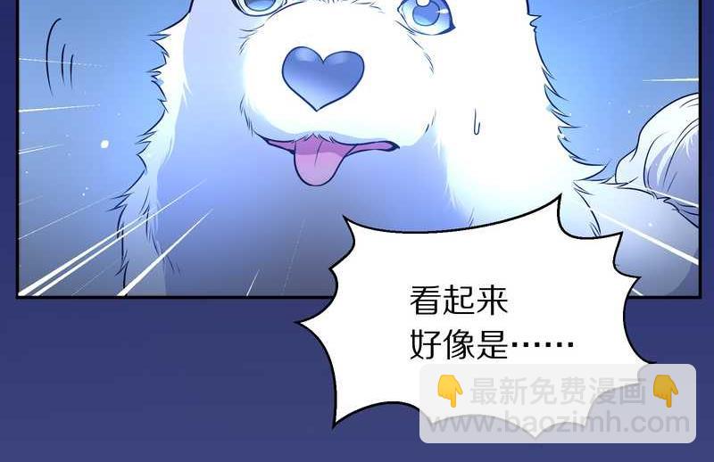 毛球星传说 第66集(1/2)-第66话