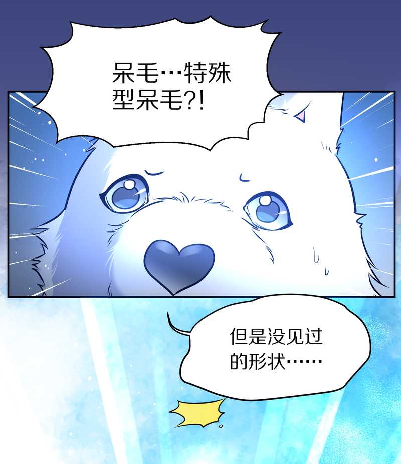 毛球星传说 第66集(1/2)-第66话