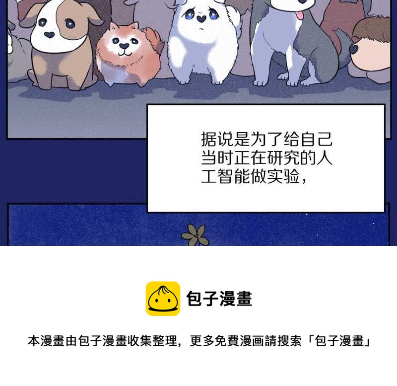 毛球星传说 第66集(1/2)-第66话