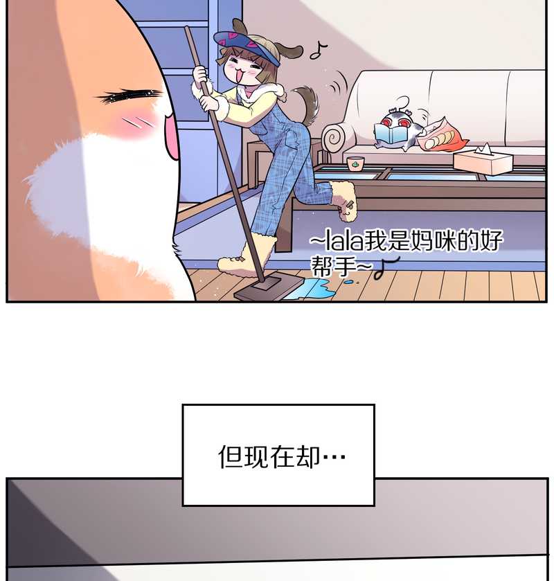 毛球星传说 第68集(1/2)-第68话