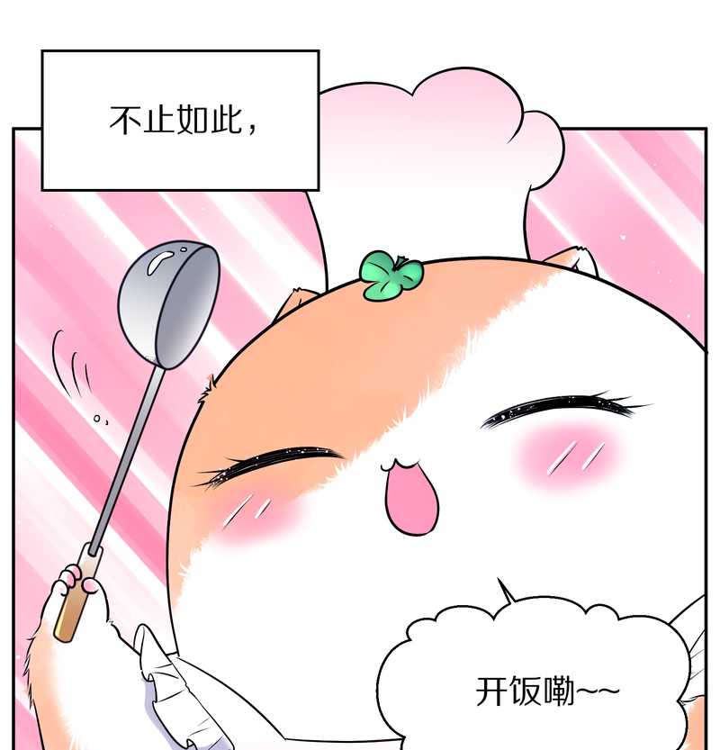 毛球星传说 第68集(1/2)-第68话