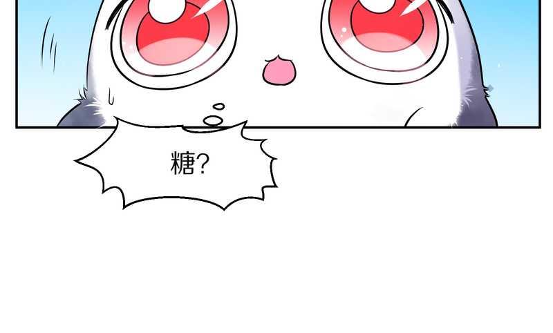 毛球星传说 第68集(1/2)-第68话