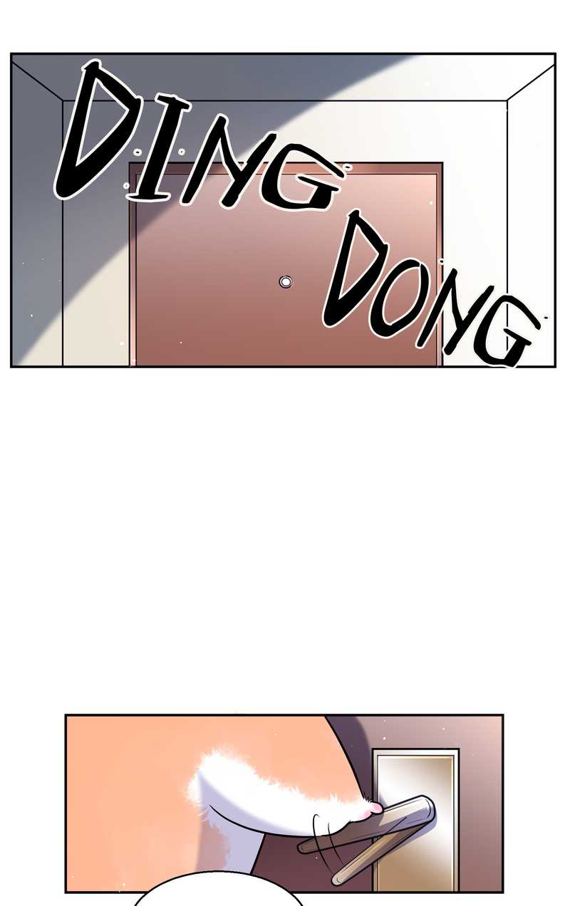 毛球星传说 第68集(1/2)-第68话