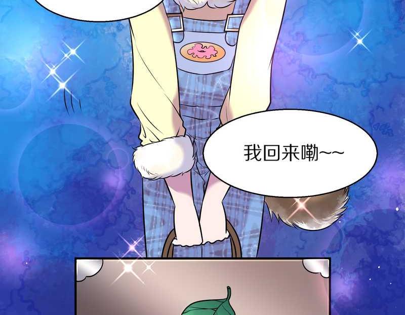 毛球星传说 第68集(1/2)-第68话