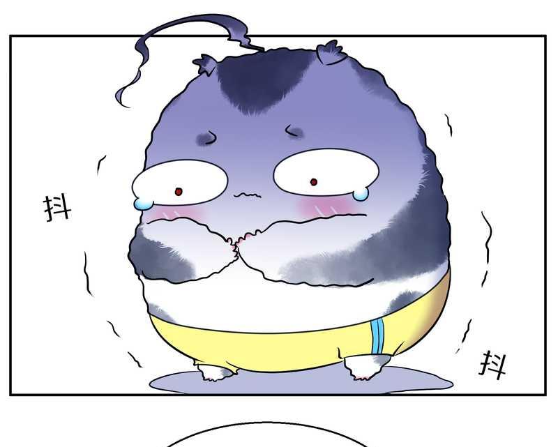 毛球星传说 第70集-第70话