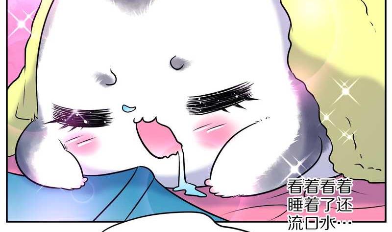 毛球星传说 第70集-第70话