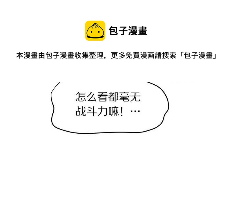 毛球星传说 第70集-第70话