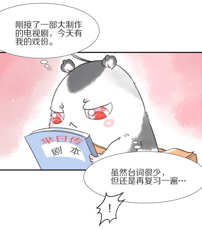 毛球星传说 第8集(1/2)-第8话