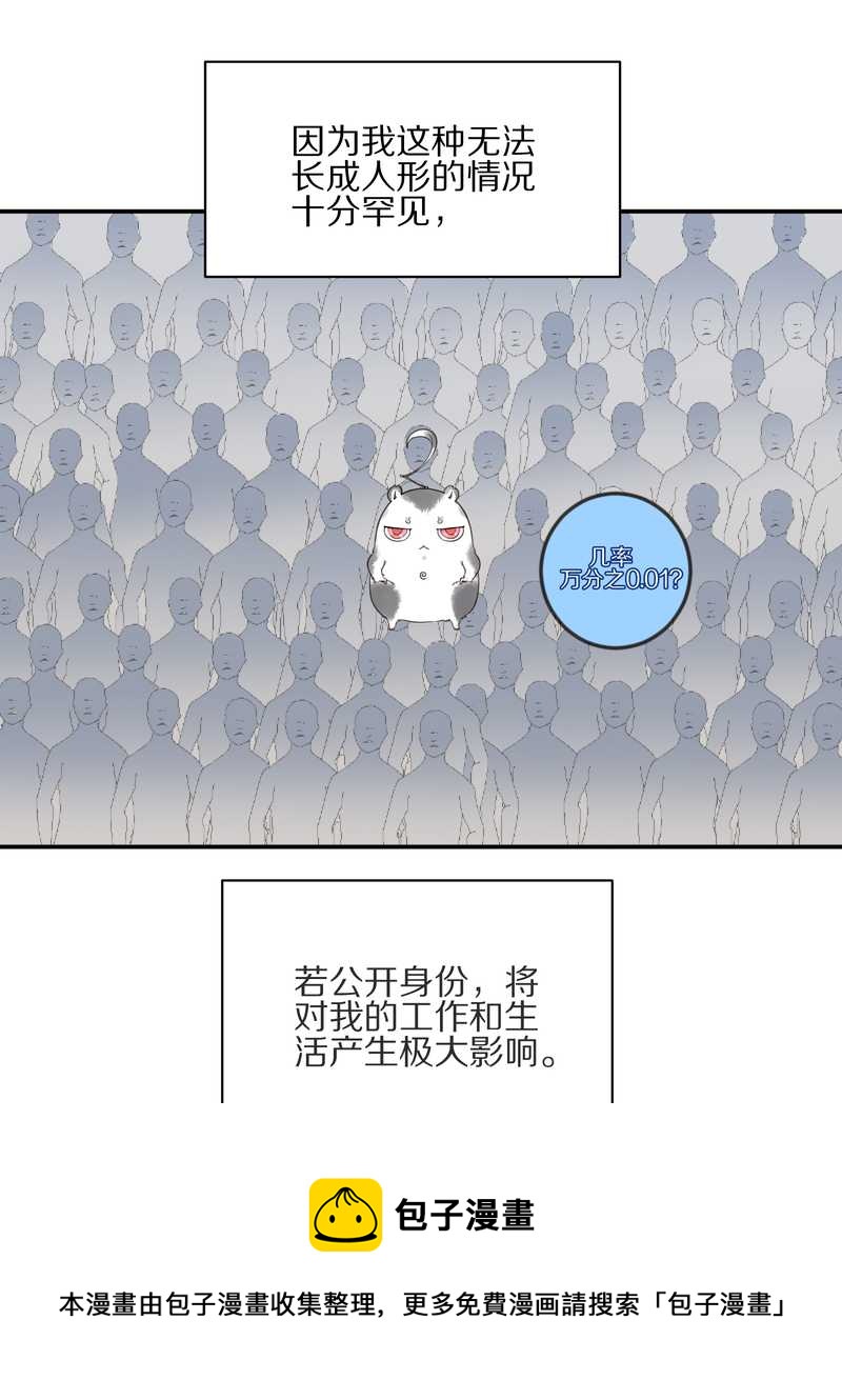 毛球星传说 第8集(1/2)-第8话