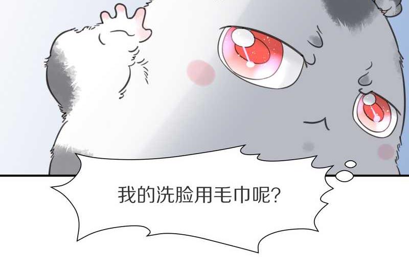 毛球星传说 第8集(1/2)-第8话