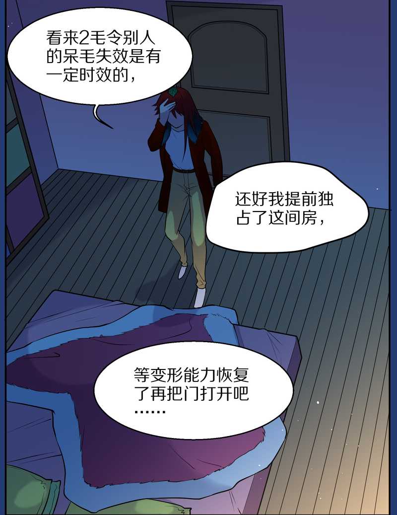 毛球星传说 第72集(1/2)-第72话