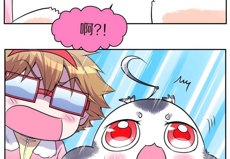 毛球星传说 第72集(1/2)-第72话