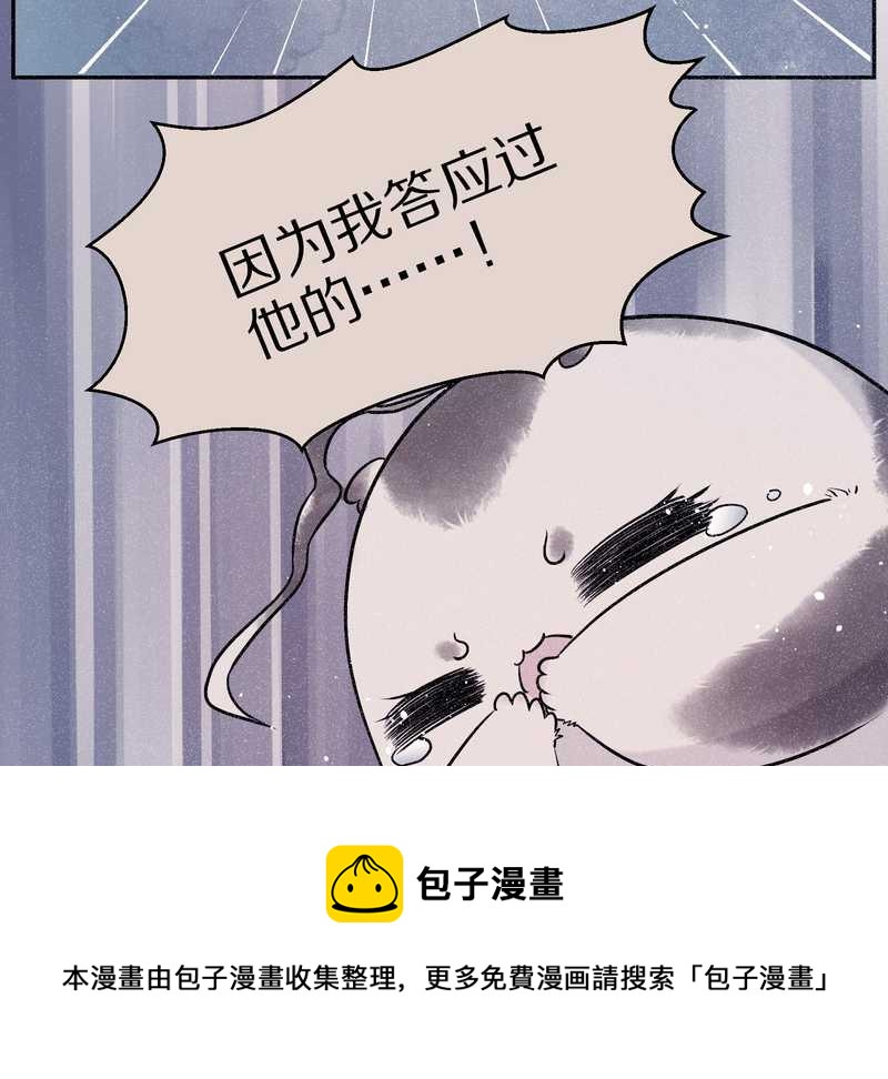 毛球星传说 第72集(1/2)-第72话