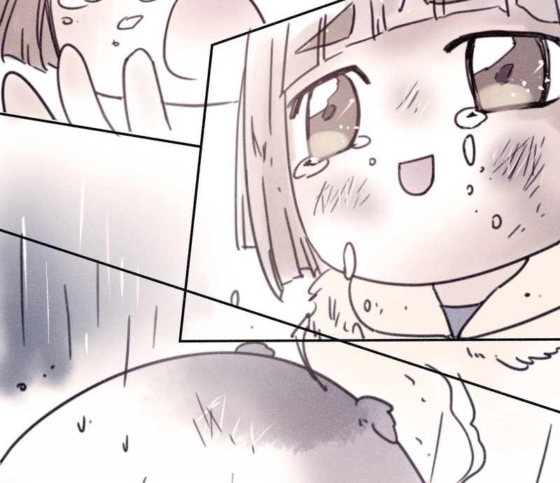 毛球星传说 第72集(1/2)-第72话