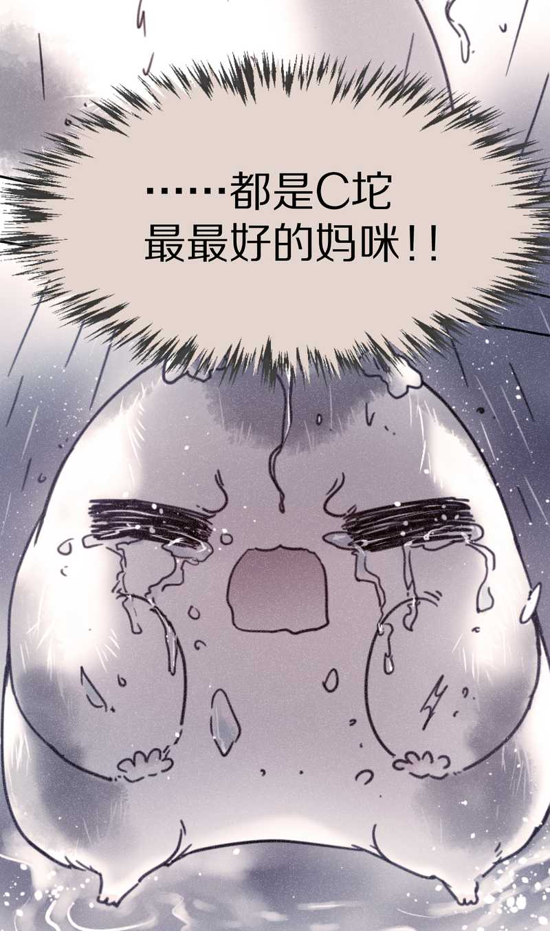 毛球星传说 第72集(1/2)-第72话