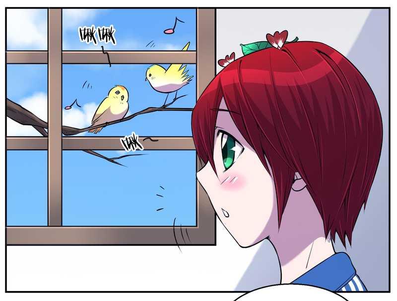 毛球星传说 第74集(1/2)-第74话