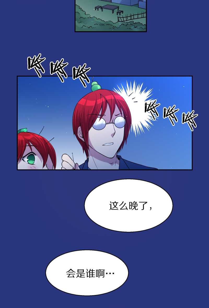 毛球星传说 第74集(1/2)-第74话