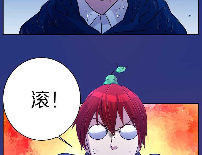 毛球星传说 第74集(1/2)-第74话