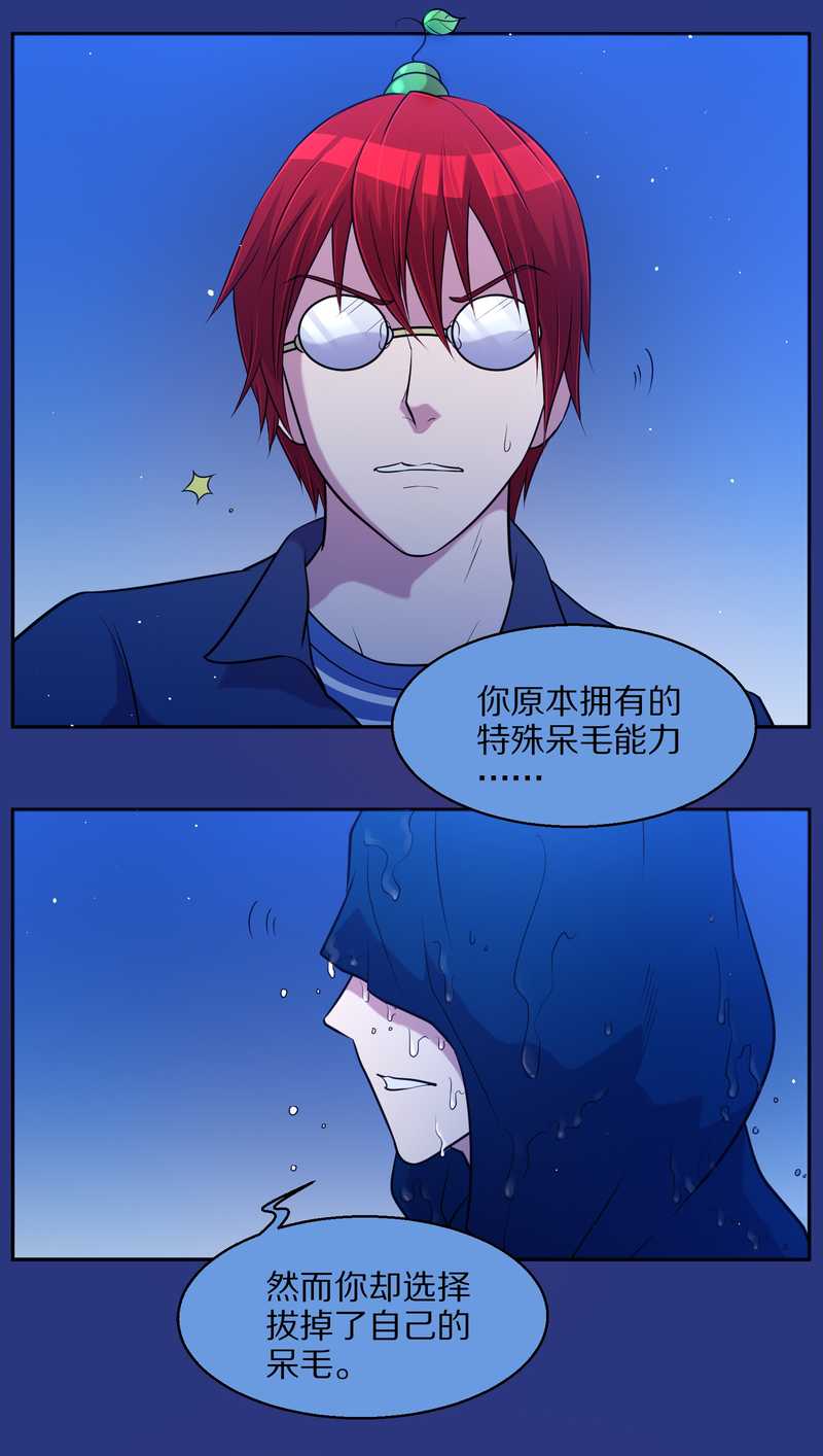 毛球星传说 第74集(1/2)-第74话